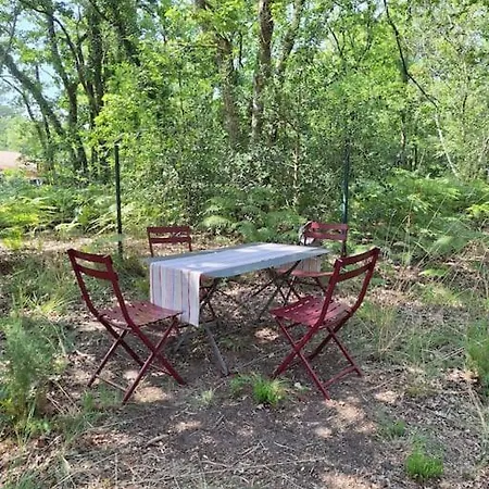 Chalet Lacanau * Lacanau